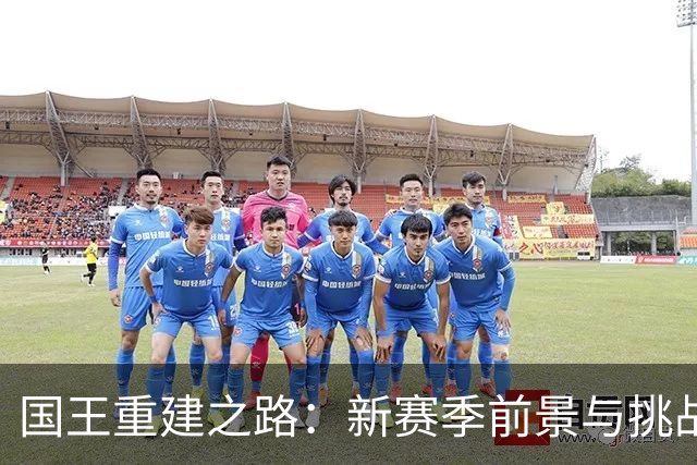 国王重建之路：新赛季前景与挑战分析